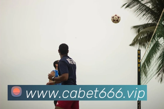 ca亚洲城APP 封面图